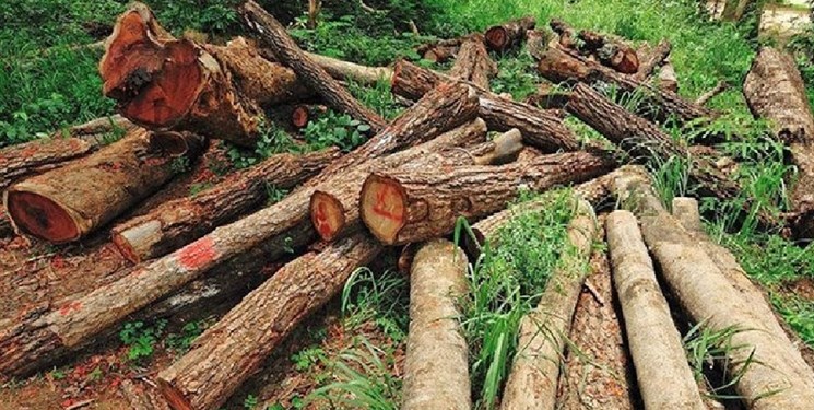 8 تُن چوب آلات جنگلی قاچاق در اردبیل کشف شد
